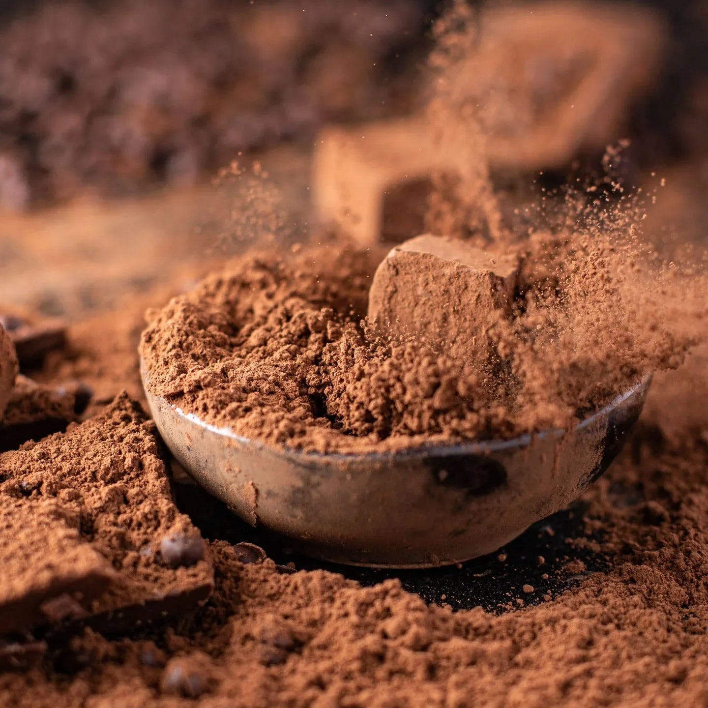 Cacao - Borboletamarket