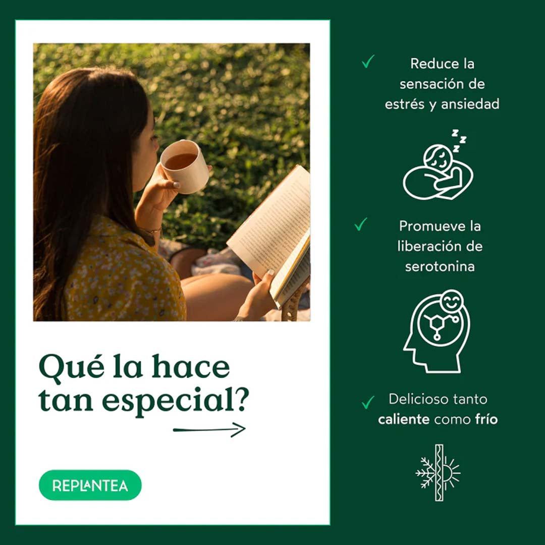 Infusión Buenas Noches Ecológica 100g