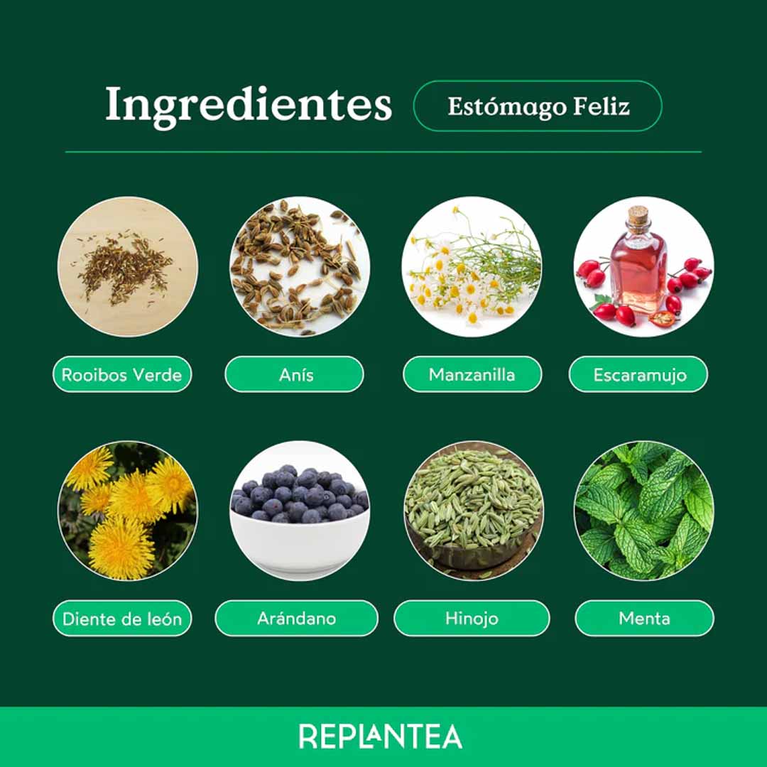 Infusión Estómago Feliz Ecológica 100g