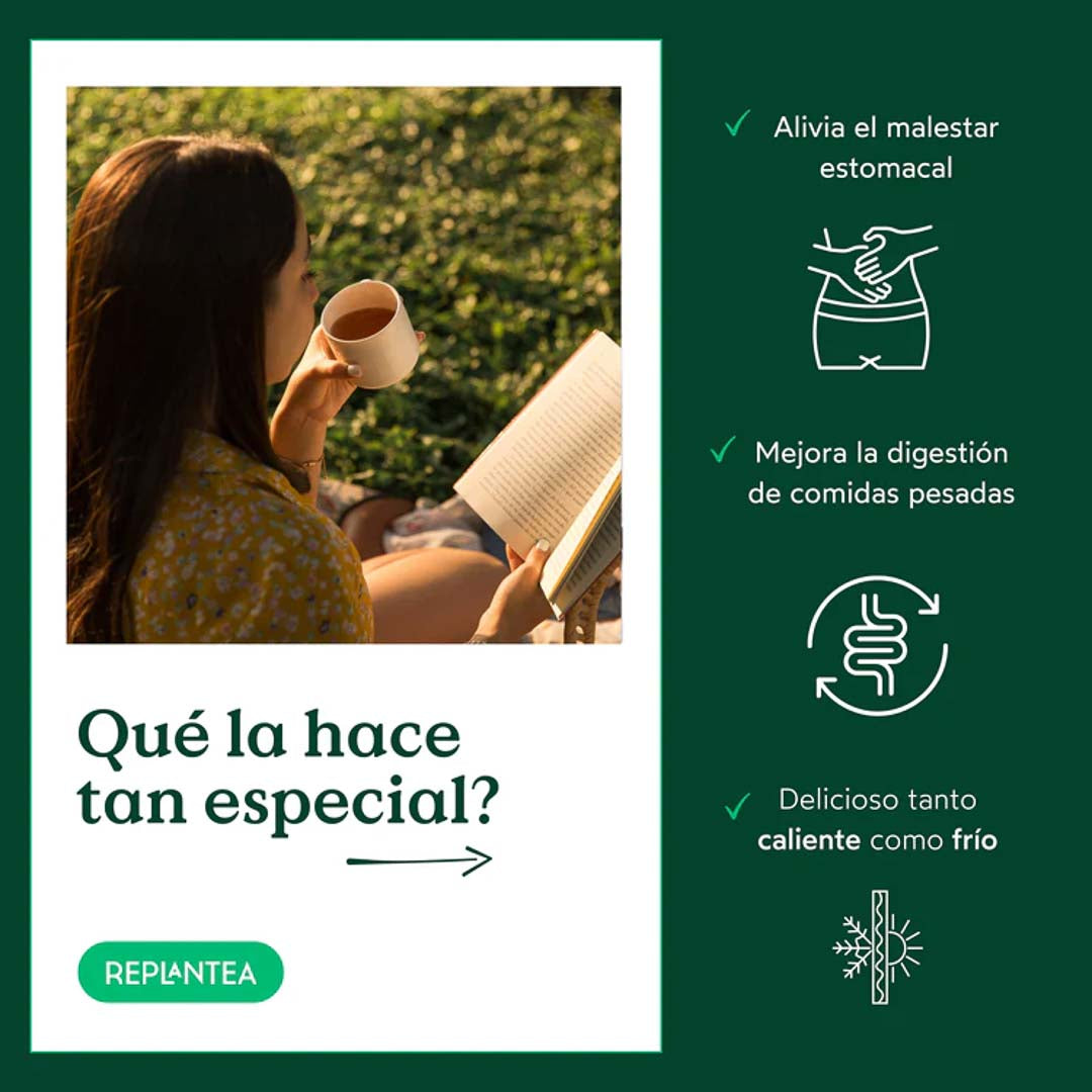 Infusión Estómago Feliz Ecológica 100g