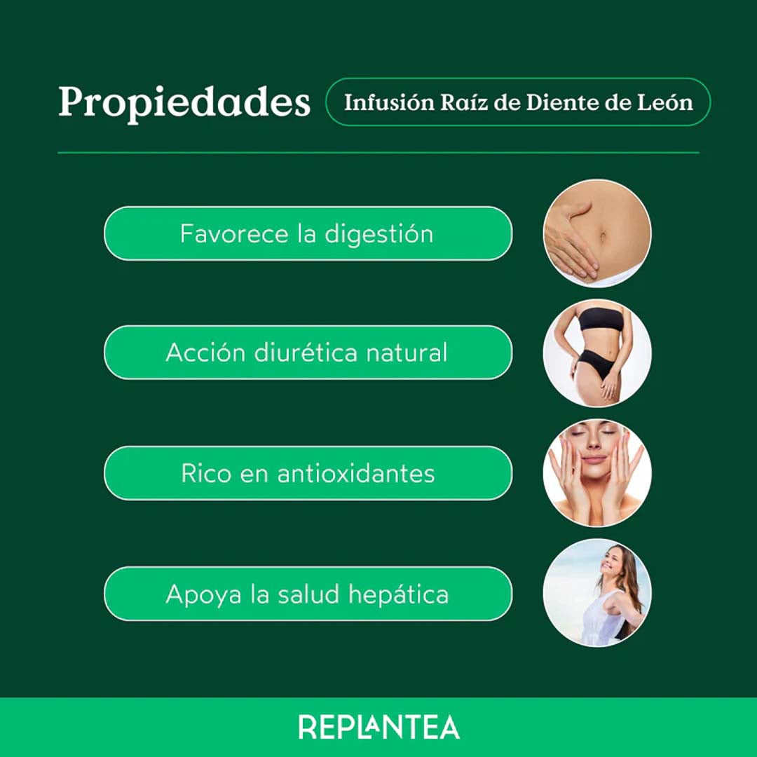 Infusión de Diente de León Ecológica 100g