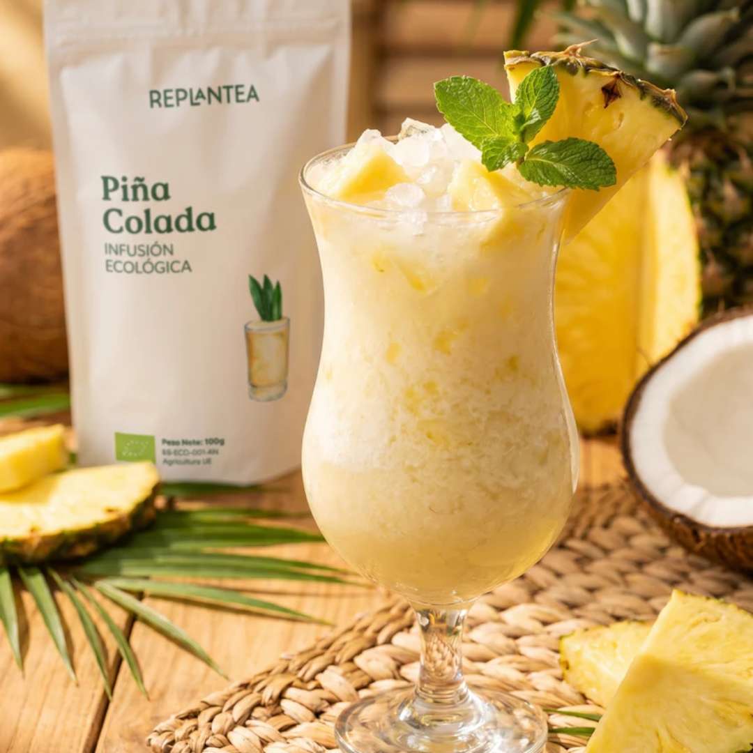 Infusión Piña Colada Ecológica 100g