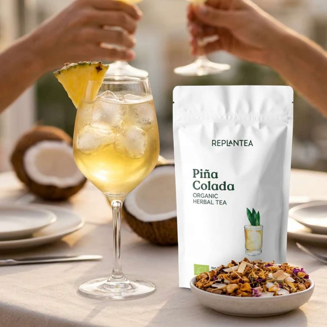 Infusión Piña Colada Ecológica 100g