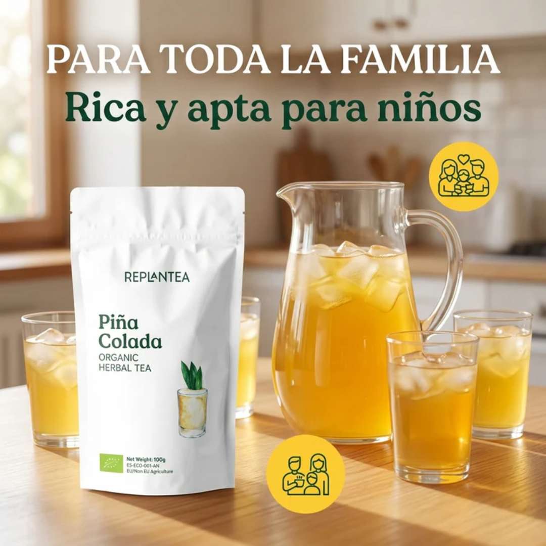Infusión Piña Colada Ecológica 100g