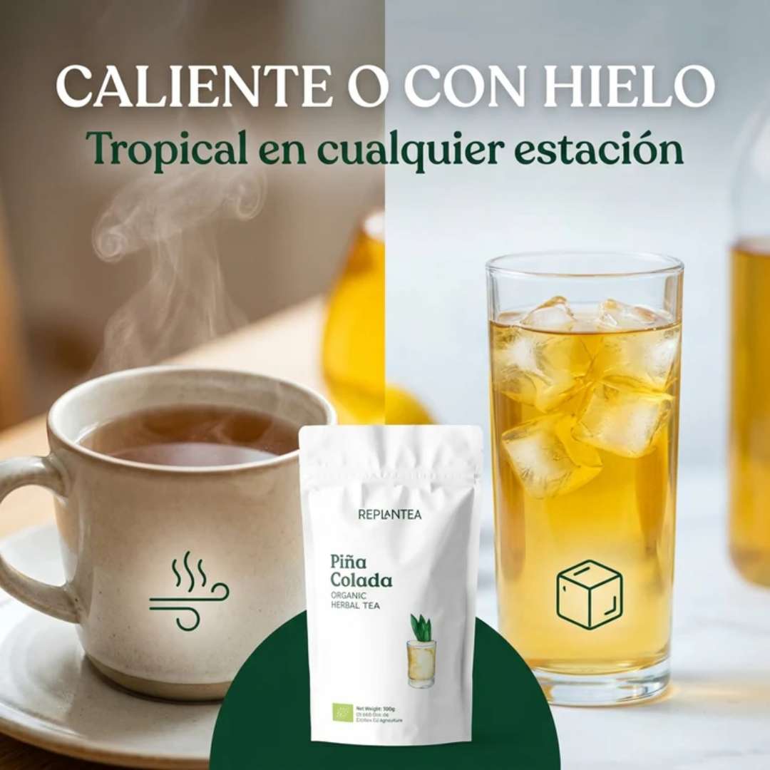 Infusión Piña Colada Ecológica 100g