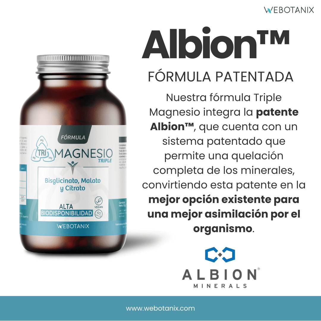 Triple Magnesio (Blisgicinato, malato y citrato)  60 cápsulas